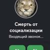 djankdev6k7