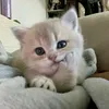 quynhbong103