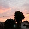 paijan_007