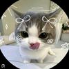 aisha.humaira641