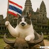 เเมวซิ่งวิ่งขอข้าว(ช่องจริง)