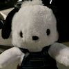 ali_tasdepollo6