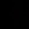 aminxx66