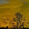 the_words_32