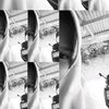 nay_flowra