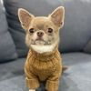lukasodessa