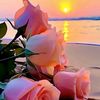 malik.sheraz345