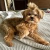 cheryldonna234
