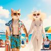 animindify
