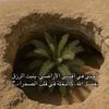 user1661956127343