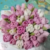 tramy010394
