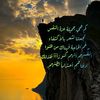 ahmedalnzely