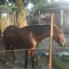 user8120213253773