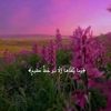omaima_71