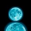 mehedi.hassan1517
