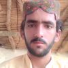 gull.hasan056