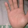 lyrerj