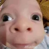 namninh628