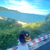 suuu_xinhhgaii_quaatroii