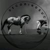 DecodingSuccess