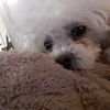 jxi_3795