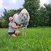 maja62606