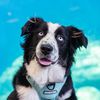 sylvie_theaussie