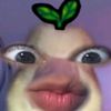 user.sn19