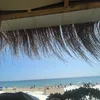 nestarej_see8