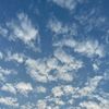 bluesky2806