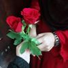 pakhtoon6830