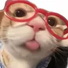 ngi.xu.giu.tcamm