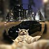 el_steban7