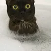 hi543067