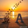 abdullah.5303