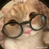 ha_linh7132