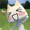 peniengarj0