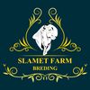 Mbah Slamet Farm Blitar