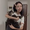 pawingpets3