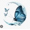 mariam.mejdoub2