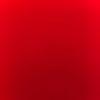 bigbackblue_9992