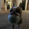 milo_dti4