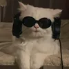 gmanagmana6