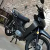 oscar.el.perro7
