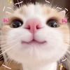ddaeva.rabia_18