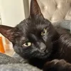 catamendez302