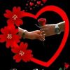 simboo456
