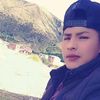 arce_436
