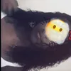 jhaicyannesilva