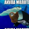 matviyka47